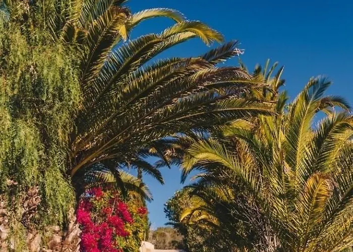 Casa Monki Casa de hóspedes *