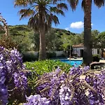 Casa Monki *