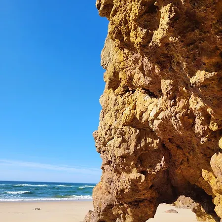 Guest house Casa Monki