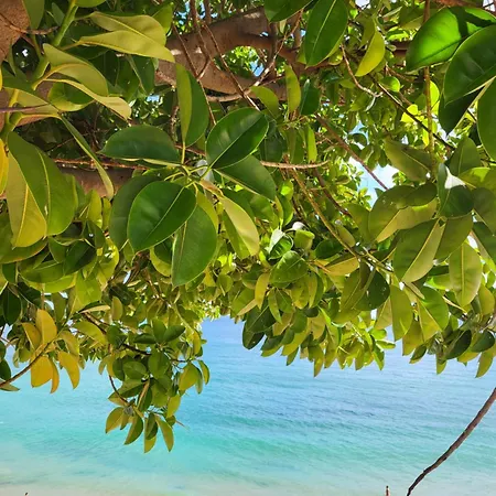 Casa Monki Guest house *