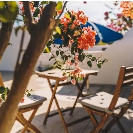 Casa Monki