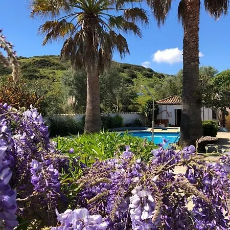 Casa Monki *