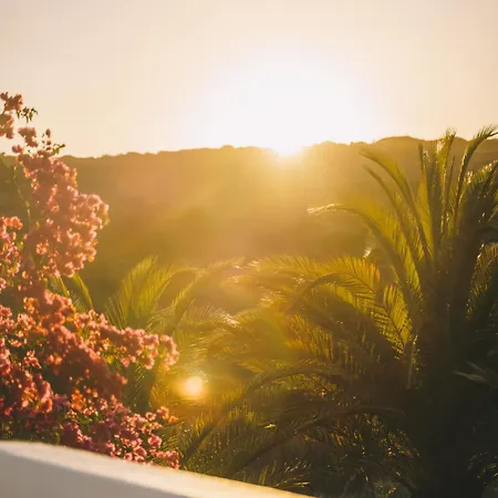 Guest house Casa Monki Raposeira (Faro)