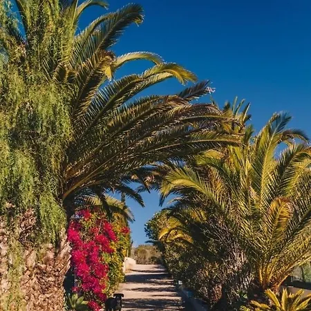 Casa Monki Guest house *